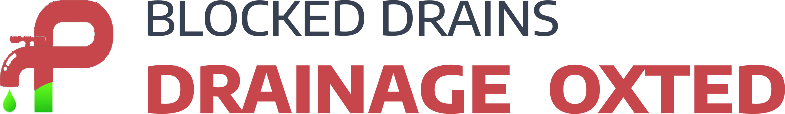 website logo